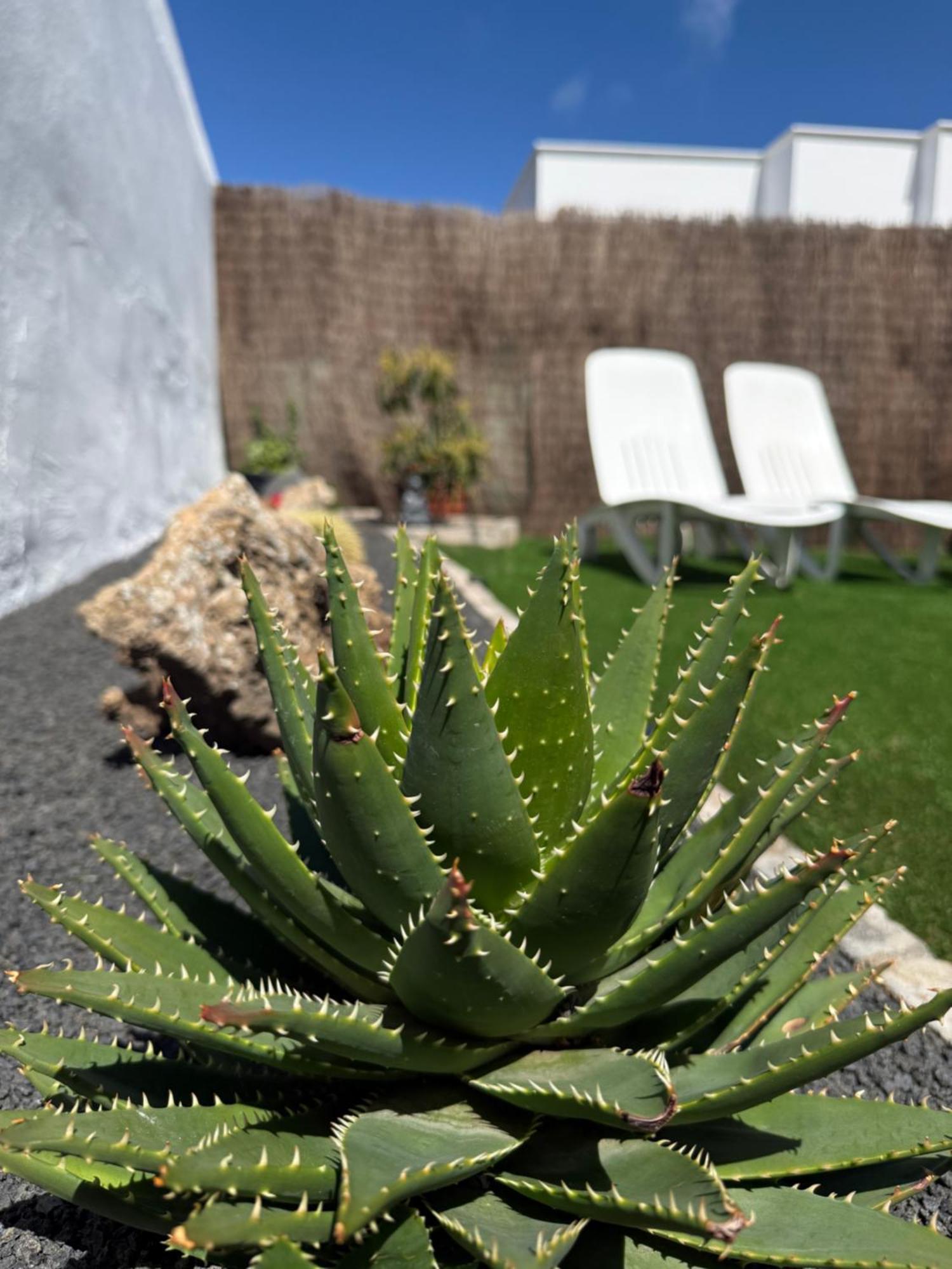 Casa Cira Apartment La Costa Luaran gambar